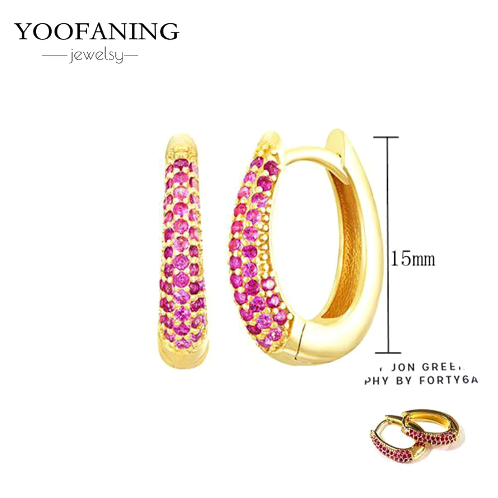 925 Sterling Silver Ear Needle Fashion Exquisite Hoop Earrings  Classic Rose Red Series Earrings for Women Patty Jewelry Gift