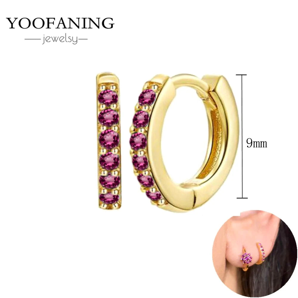925 Sterling Silver Ear Needle Fashion Exquisite Hoop Earrings  Classic Rose Red Series Earrings for Women Patty Jewelry Gift