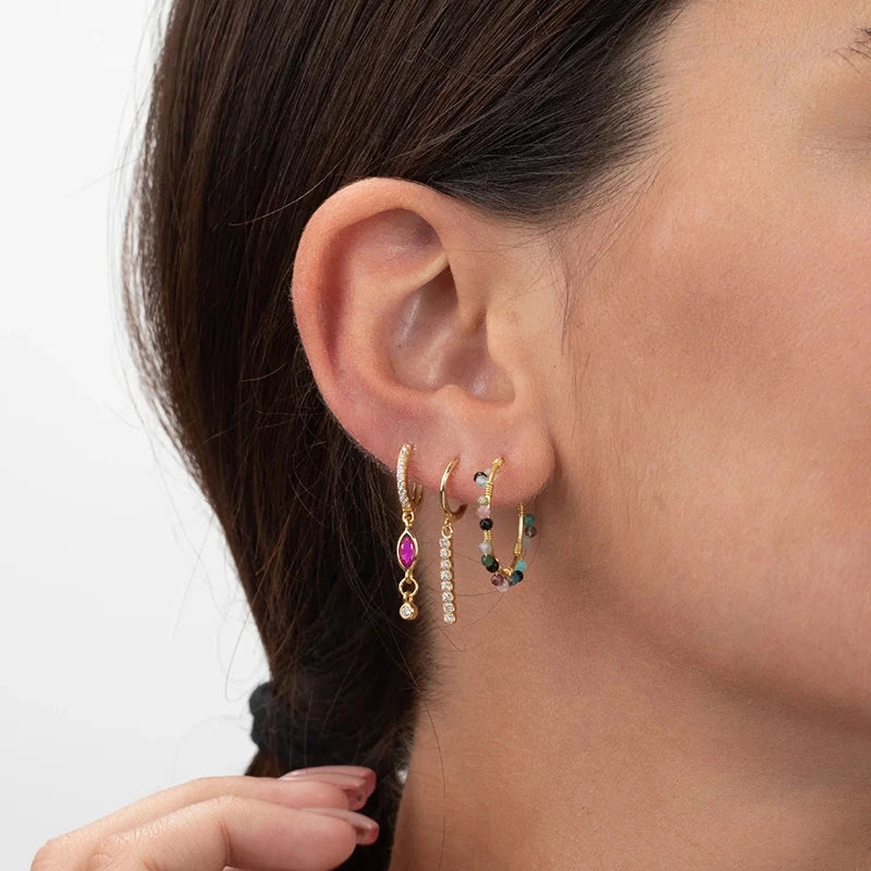 925 Sterling Silver Ear Needle Fashion Exquisite Hoop Earrings  Classic Rose Red Series Earrings for Women Patty Jewelry Gift