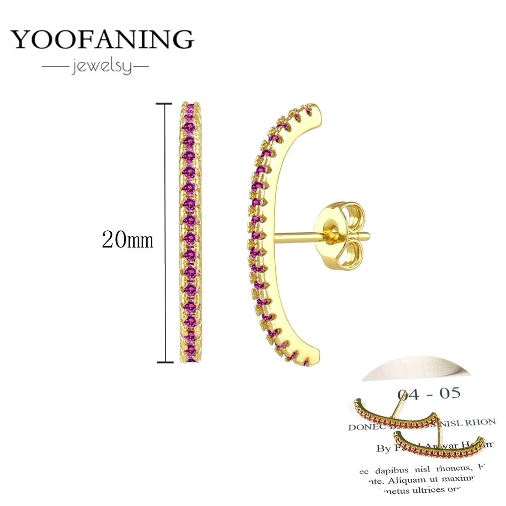 925 Sterling Silver Ear Needle Fashion Exquisite Hoop Earrings  Classic Rose Red Series Earrings for Women Patty Jewelry Gift