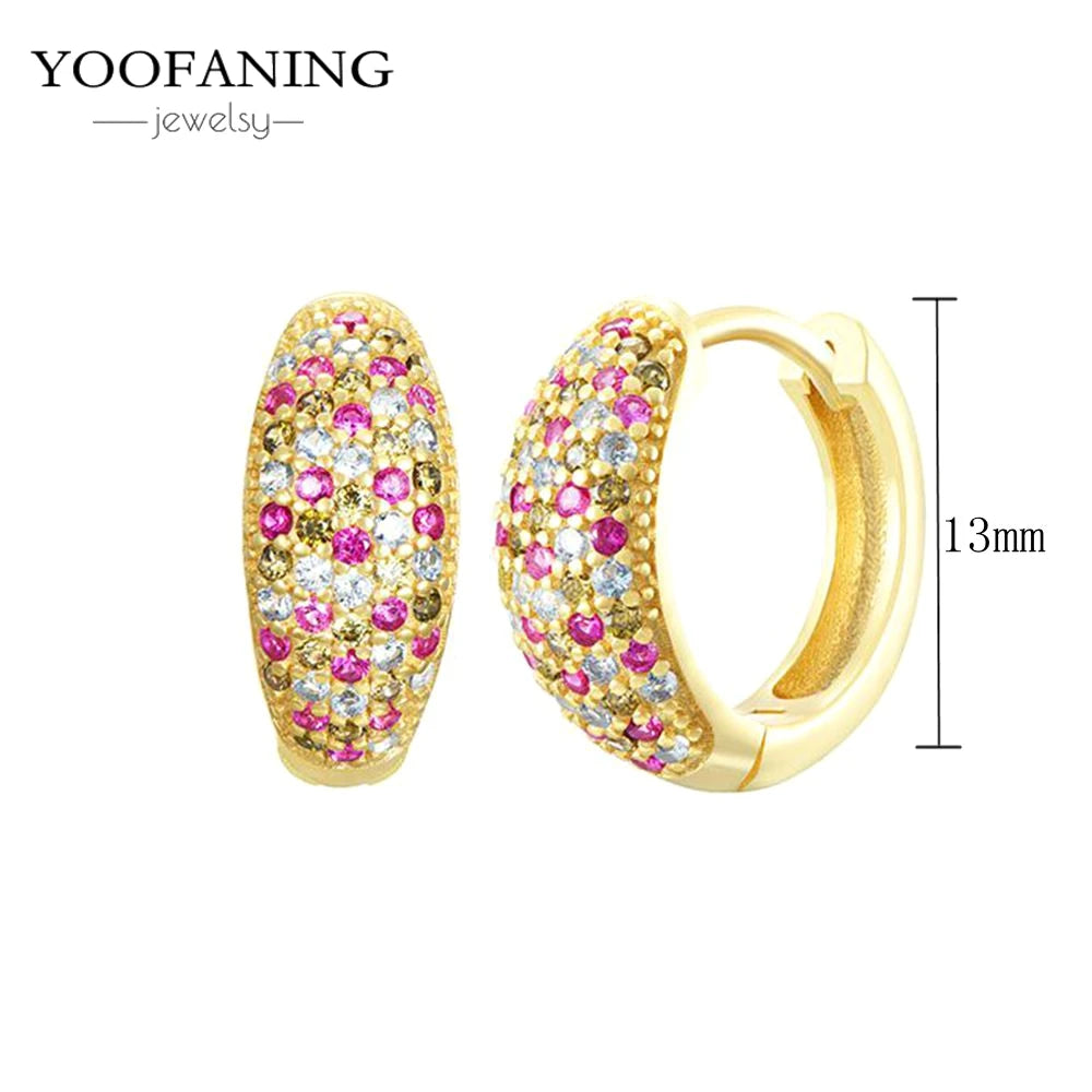 925 Sterling Silver Ear Needle Fashion Exquisite Hoop Earrings  Classic Rose Red Series Earrings for Women Patty Jewelry Gift