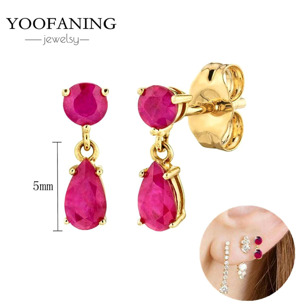925 Sterling Silver Ear Needle Fashion Exquisite Hoop Earrings  Classic Rose Red Series Earrings for Women Patty Jewelry Gift