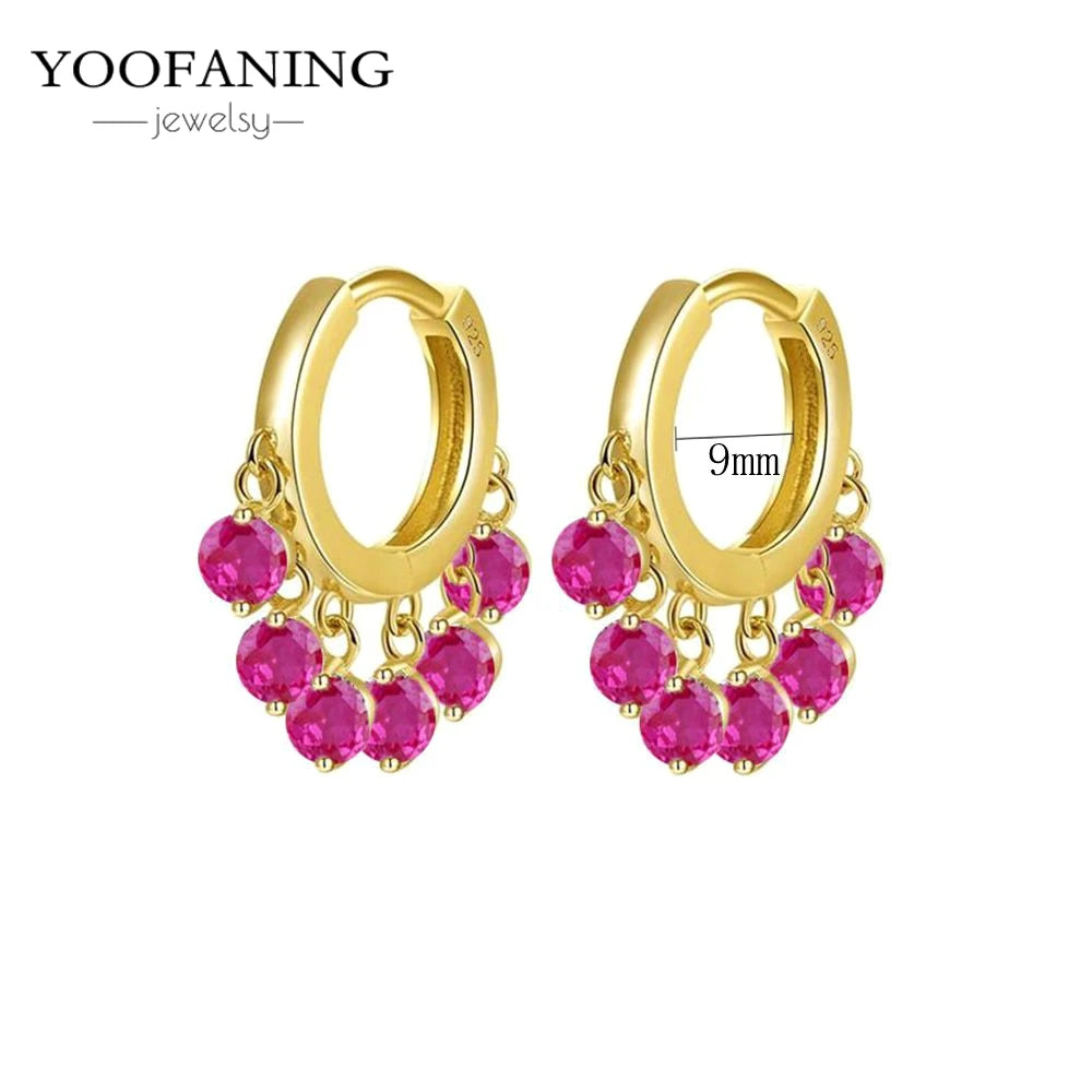 925 Sterling Silver Ear Needle Fashion Exquisite Hoop Earrings  Classic Rose Red Series Earrings for Women Patty Jewelry Gift