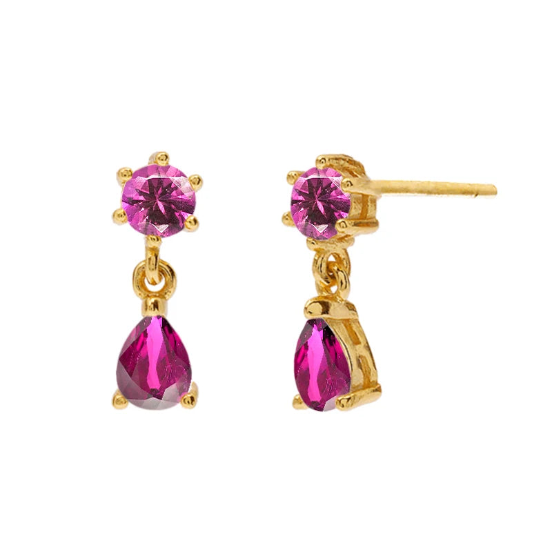 925 Sterling Silver Ear Needle Fashion Exquisite Hoop Earrings  Classic Rose Red Series Earrings for Women Patty Jewelry Gift