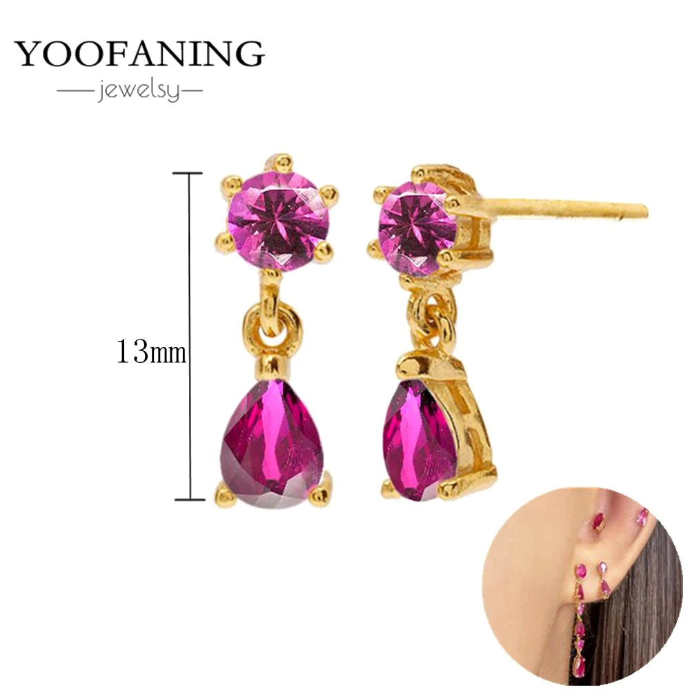 925 Sterling Silver Ear Needle Fashion Exquisite Hoop Earrings  Classic Rose Red Series Earrings for Women Patty Jewelry Gift