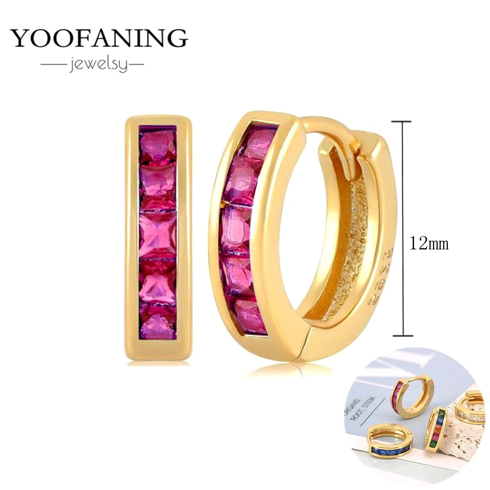 925 Sterling Silver Ear Needle Fashion Exquisite Hoop Earrings  Classic Rose Red Series Earrings for Women Patty Jewelry Gift