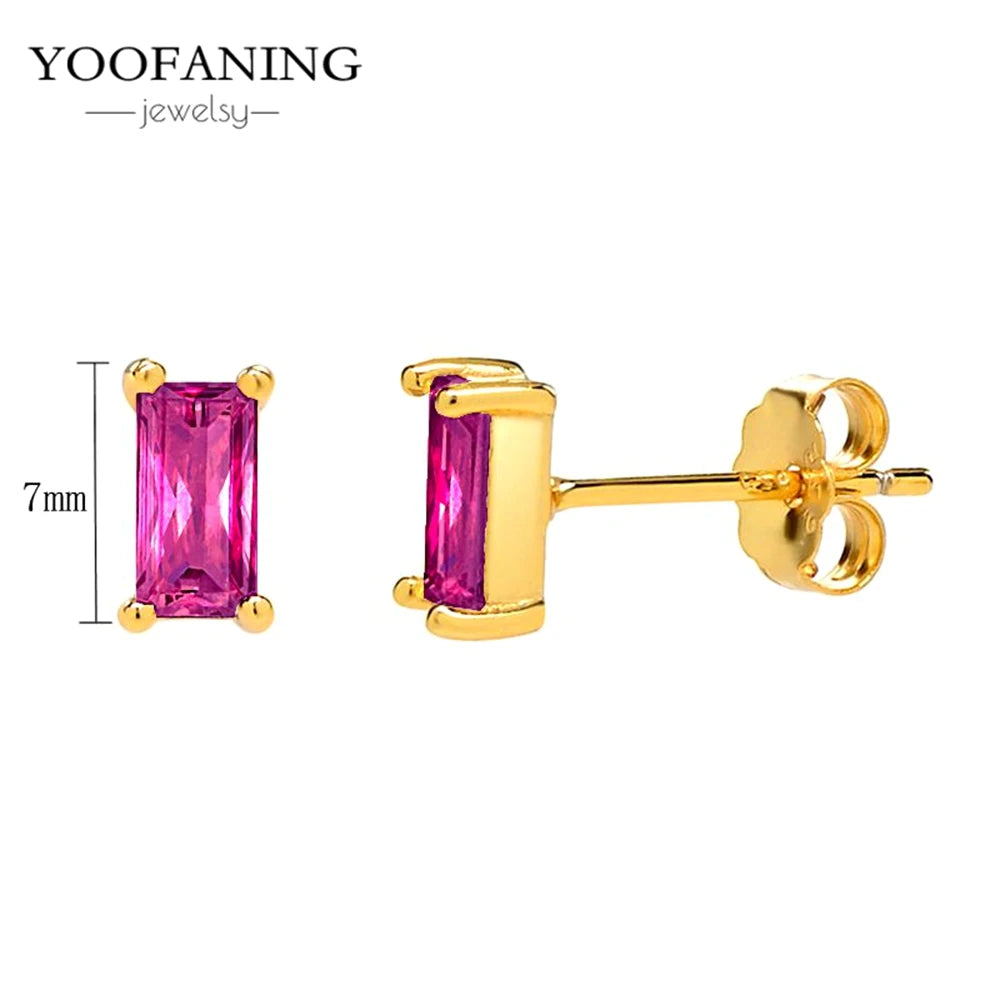 925 Sterling Silver Ear Needle Fashion Exquisite Hoop Earrings  Classic Rose Red Series Earrings for Women Patty Jewelry Gift