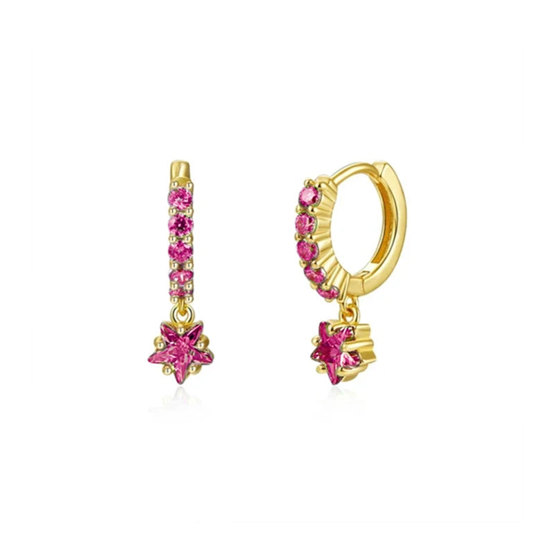 925 Sterling Silver Ear Needle Fashion Exquisite Hoop Earrings  Classic Rose Red Series Earrings for Women Patty Jewelry Gift