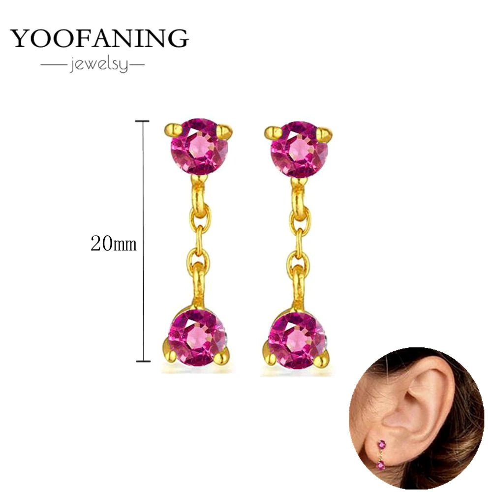 925 Sterling Silver Ear Needle Fashion Exquisite Hoop Earrings  Classic Rose Red Series Earrings for Women Patty Jewelry Gift
