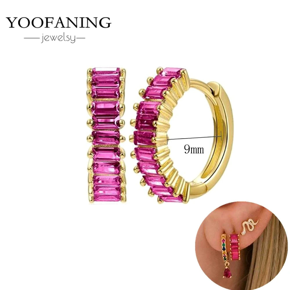925 Sterling Silver Ear Needle Fashion Exquisite Hoop Earrings  Classic Rose Red Series Earrings for Women Patty Jewelry Gift