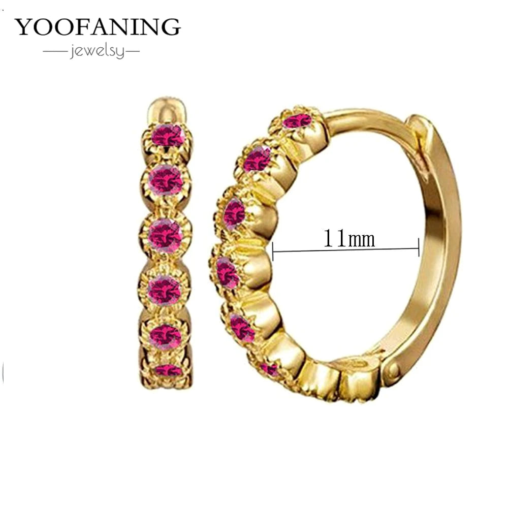925 Sterling Silver Ear Needle Fashion Exquisite Hoop Earrings  Classic Rose Red Series Earrings for Women Patty Jewelry Gift